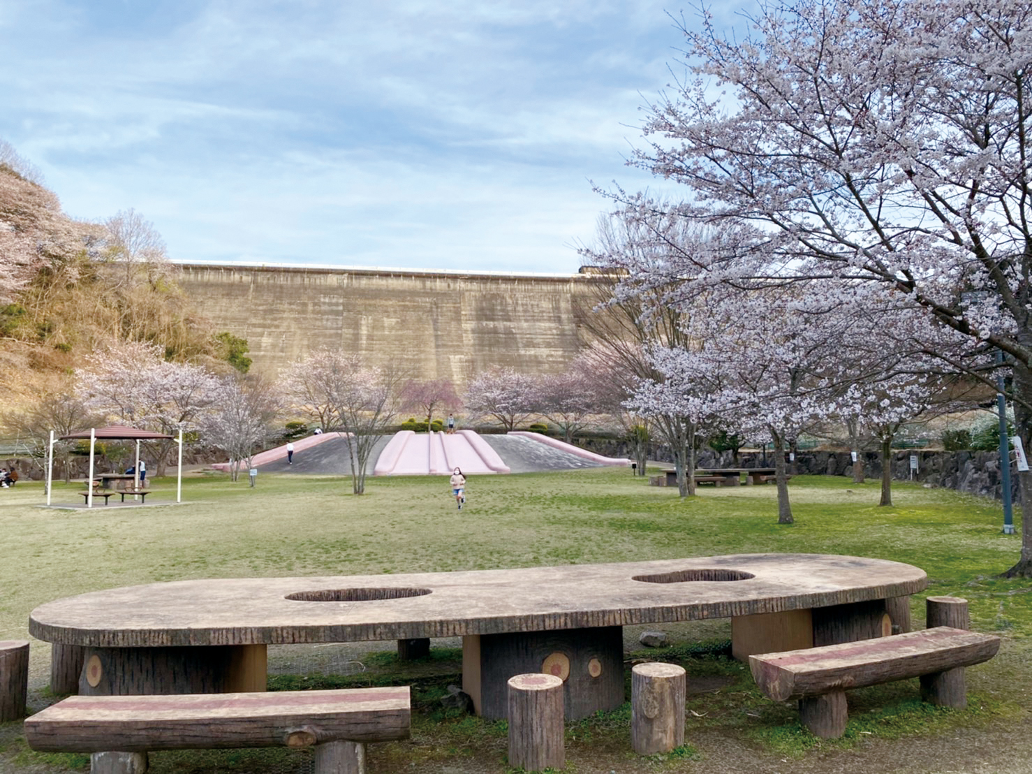 桜山公園