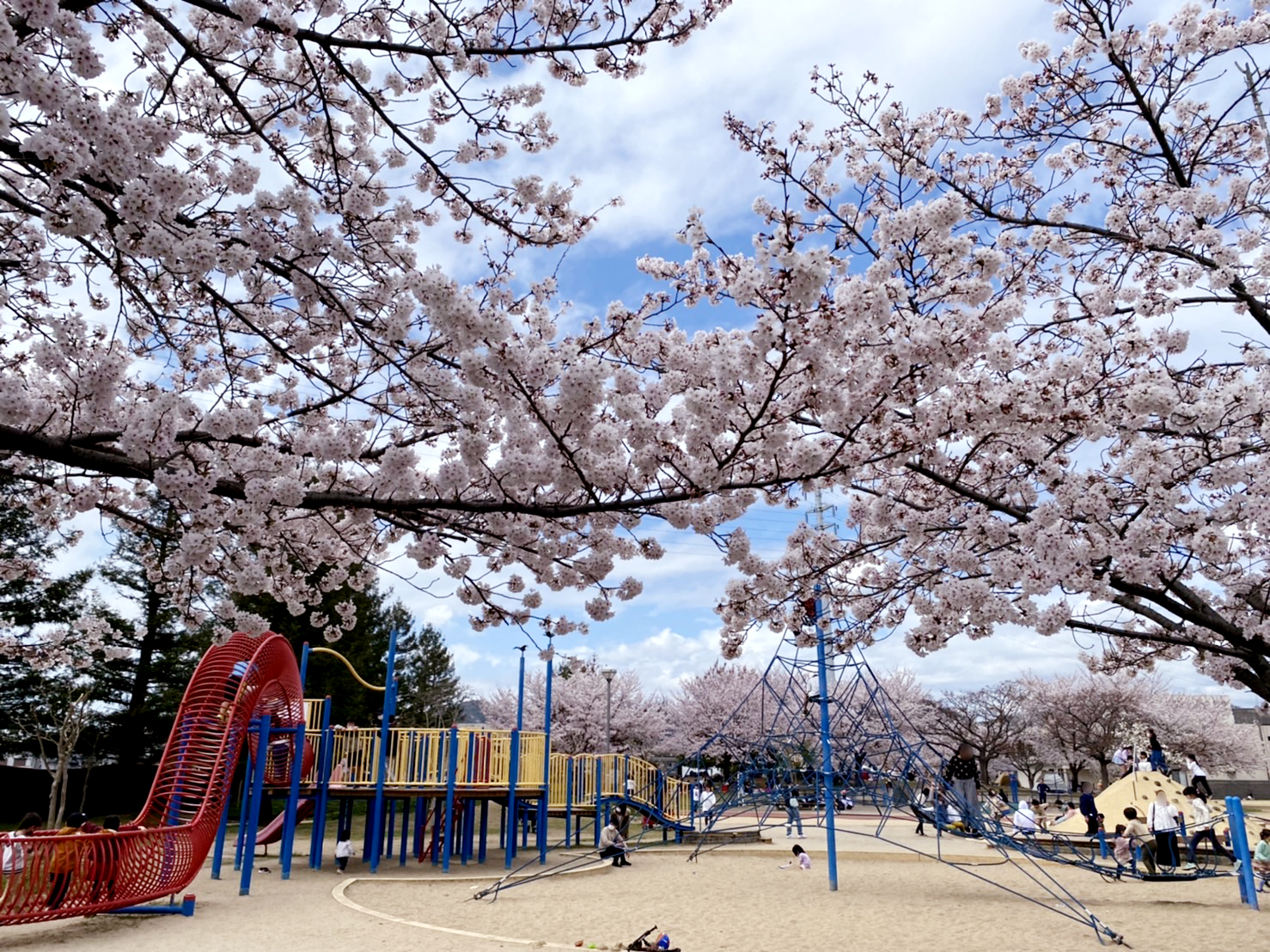 手柄山中央公園