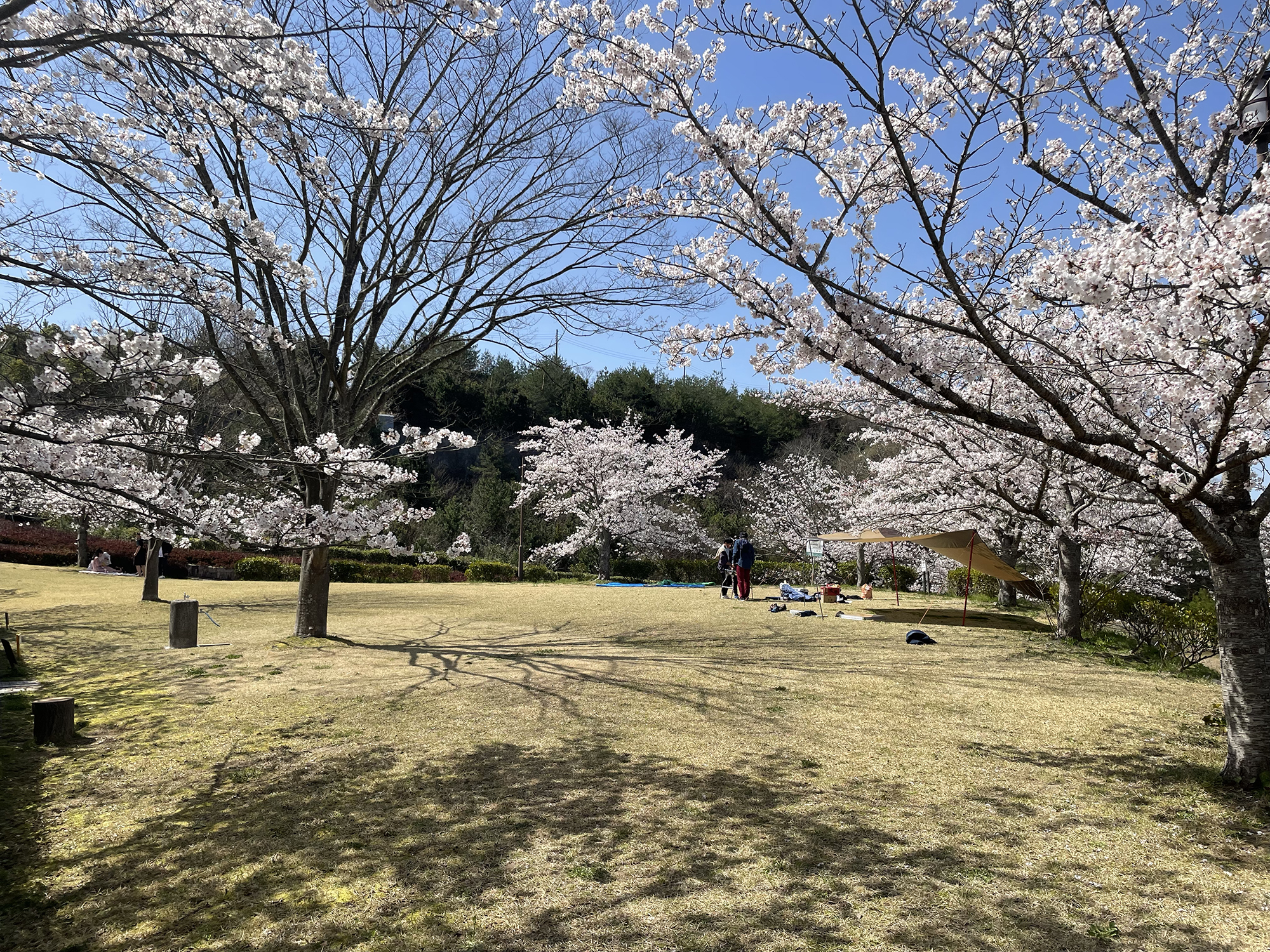匠台公園