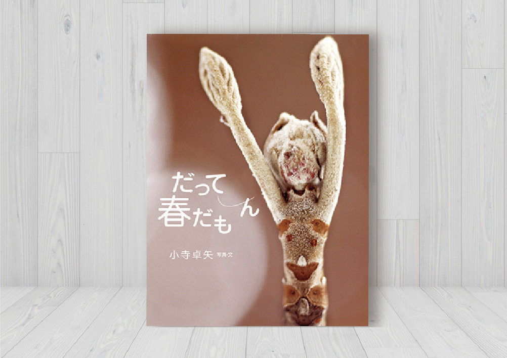 だって春だもん