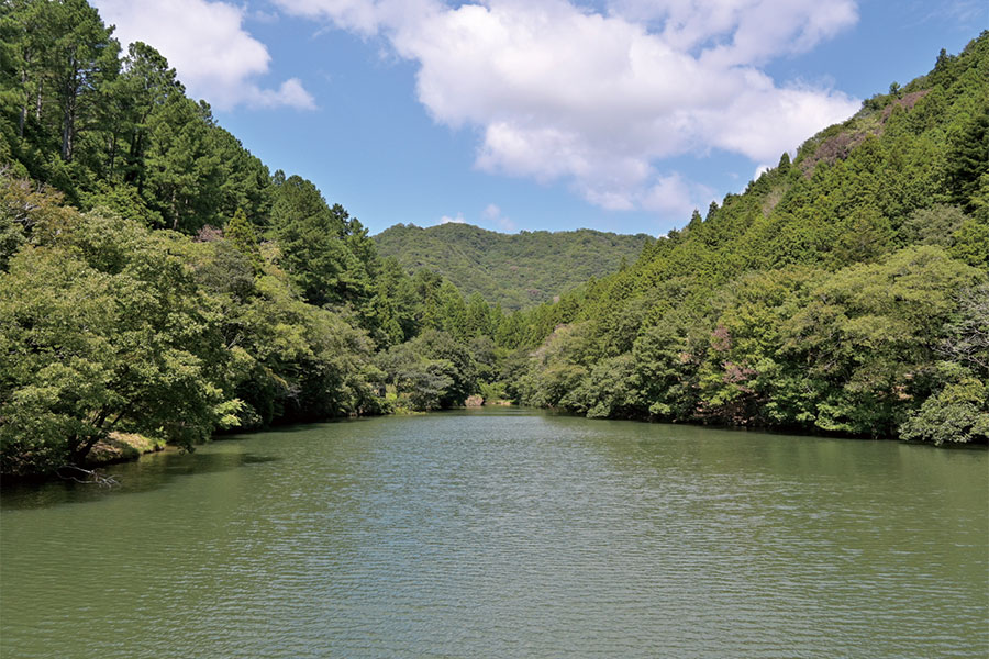 ゆめさきの森公園