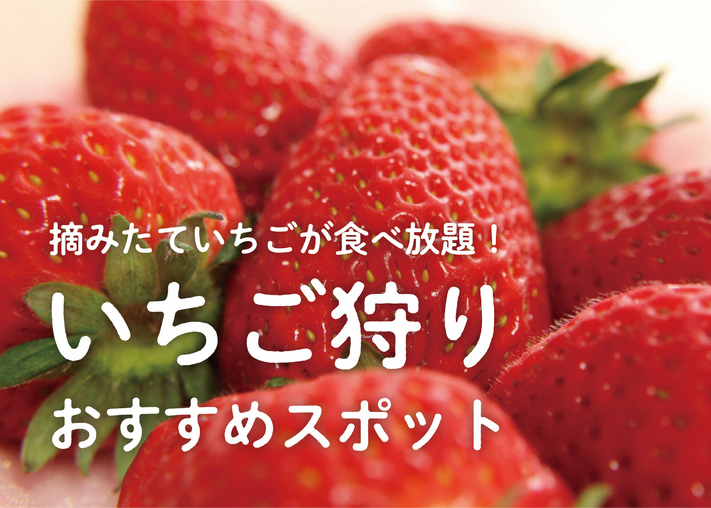 いちご狩りスポット