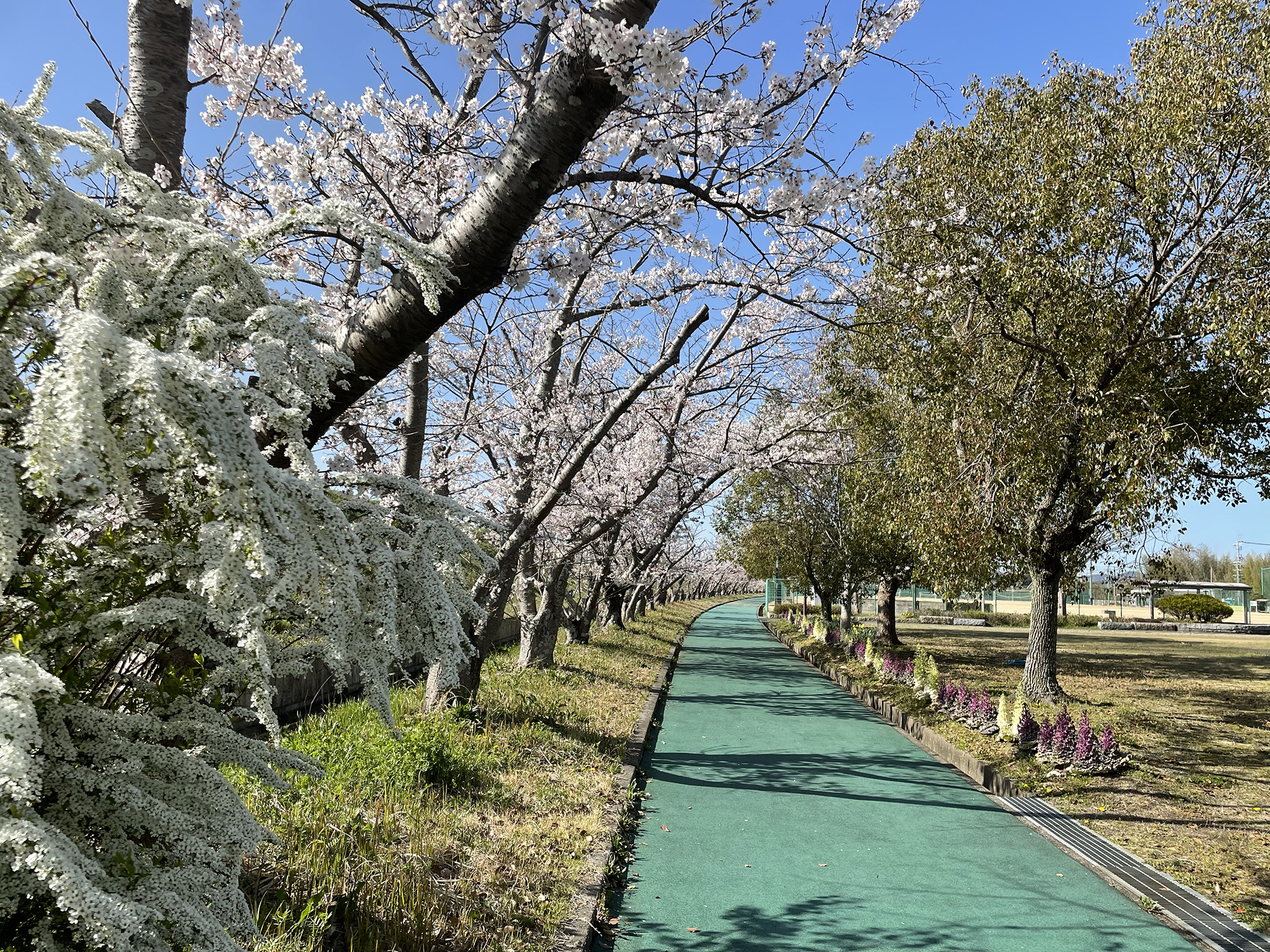 河合運動広場