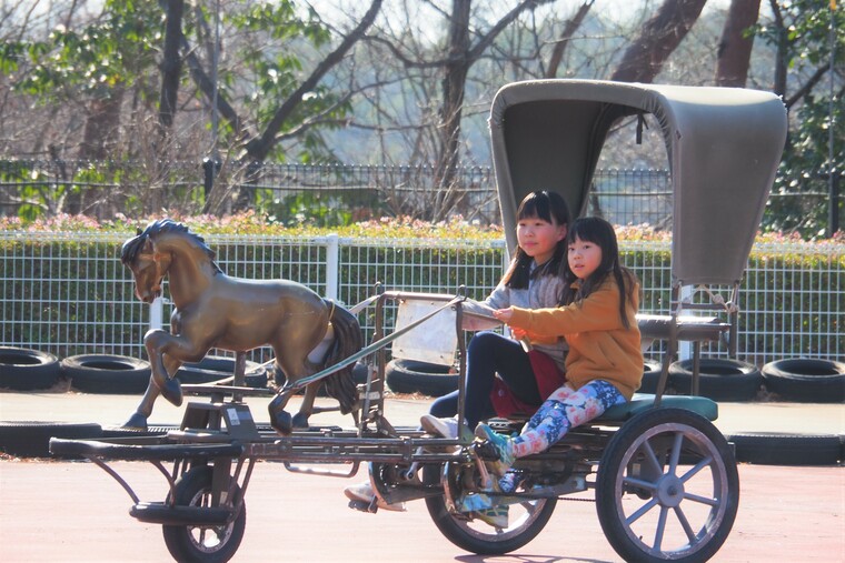播磨 中央 公園 自転車