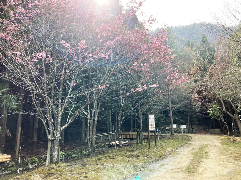 なかやちよの森公園