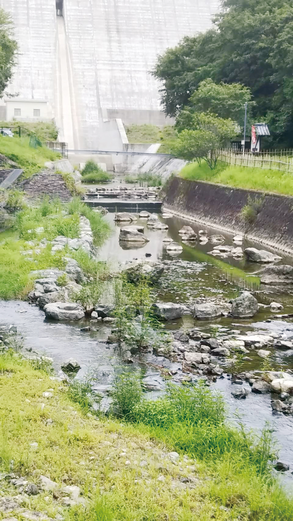 金出地ダム