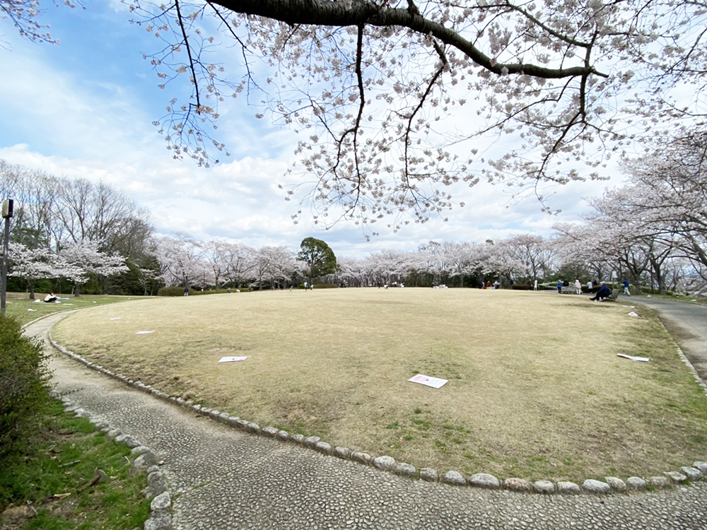 播磨中央公園